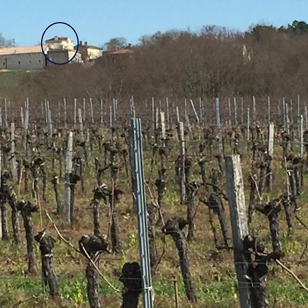 Superbe Gite A La Campagne Dans Le Bordelais サン＝ヴィヴィアン＝ド＝ブレイエ エクステリア 写真